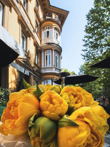 Flowers and Architecture