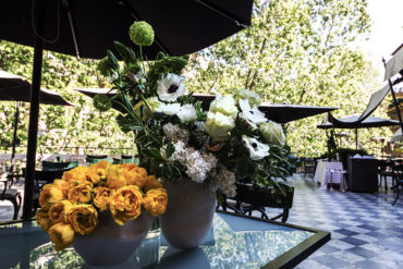 Flowers on the terrace